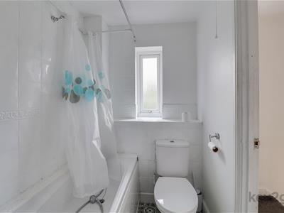 Picture 12